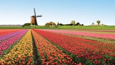 Địa danh nổi tiếng tại Hà Lan (Phần 2)